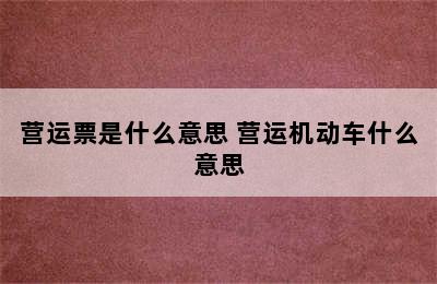 营运票是什么意思 营运机动车什么意思